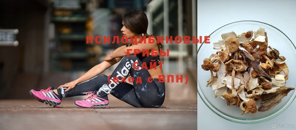 ГАЛЛЮЦИНОГЕННЫЕ ГРИБЫ Белокуриха