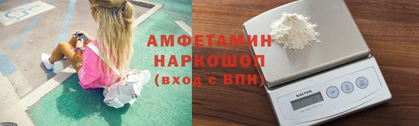 ГАЛЛЮЦИНОГЕННЫЕ ГРИБЫ Белокуриха