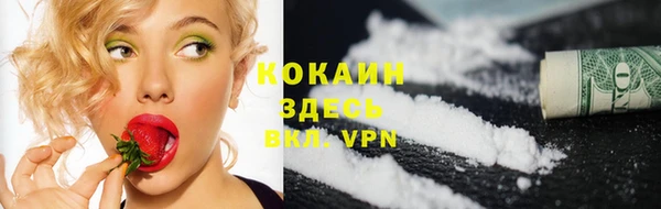 ГАЛЛЮЦИНОГЕННЫЕ ГРИБЫ Белокуриха