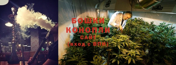 ГАЛЛЮЦИНОГЕННЫЕ ГРИБЫ Белокуриха